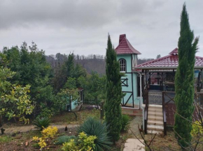 Guesthouse Lamolibo